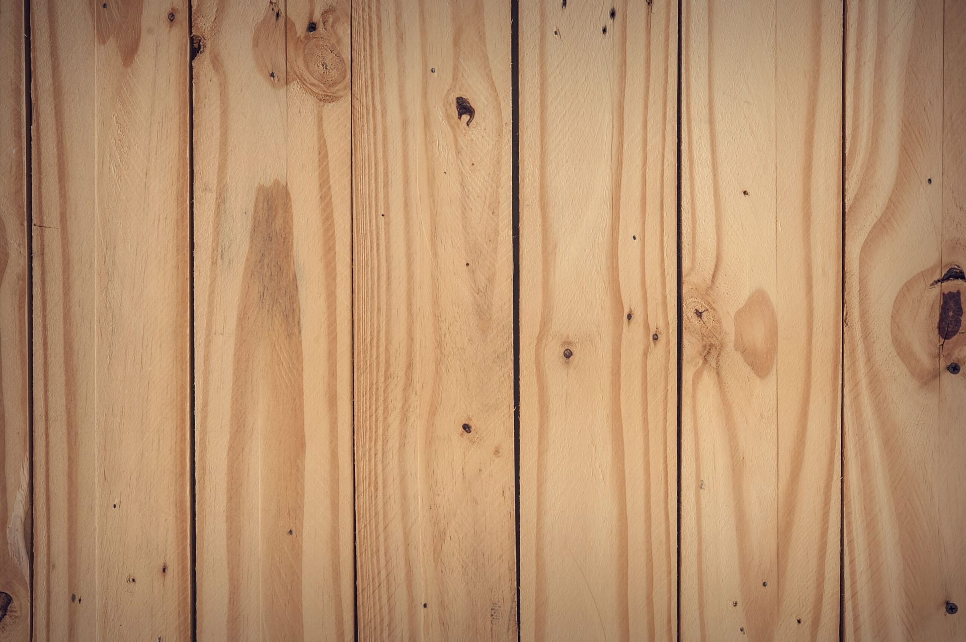 Holzschutz - Hasa Holz- und Bautenschutz Reutlingen, Tübingen, Bad Urach, Metzingen, Münsingen, Nürtingen, Esslingen, Stuttgart Holzschutz - Hasa Holz- und Bautenschutz Reutlingen, Tübingen, Bad Urach, Metzingen, Münsingen, Nürtingen, Esslingen, Stuttgart
